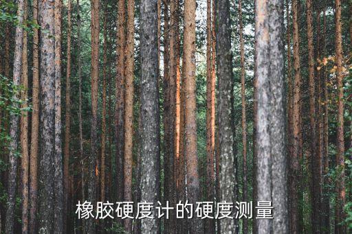 上海市數(shù)顯微型國際橡膠硬度計，上海聯(lián)爾顯微硬度計好嗎 還有什么品牌的好