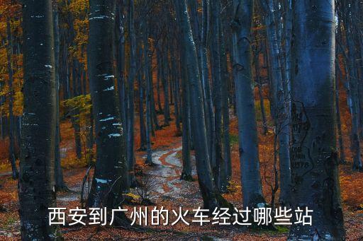 西安到廣州都需要經過哪里，西安到廣州途經哪些地方