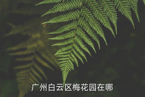 廣州白云區梅花園在哪