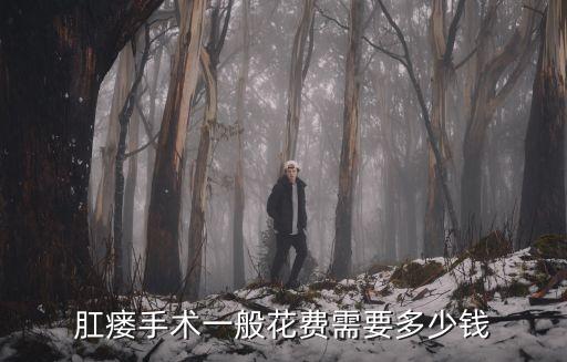 肛瘺手術一般花費需要多少錢