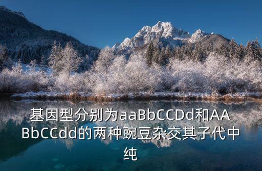 aabbccdd，AABBCCDD是幾倍體為什么那AAaa呢