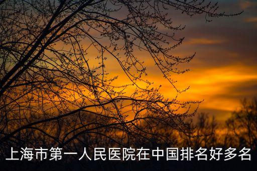 2020年上海市第一人民醫院 公示，上海市人民醫院