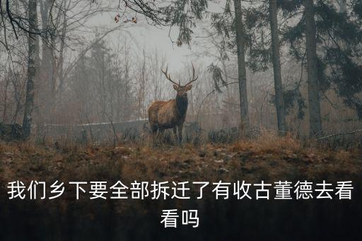 上海市老巷子拆遷區(qū)收古玩，我們鄉(xiāng)下要全部拆遷了有收古董德去看看嗎