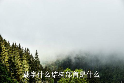 載字草書，載字什么結構部首是什么