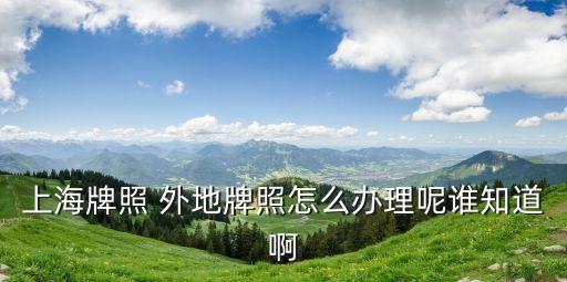 上海市區(qū)外牌提檔后如何辦理滬牌，上海牌照 外地牌照怎么辦理呢誰(shuí)知道啊