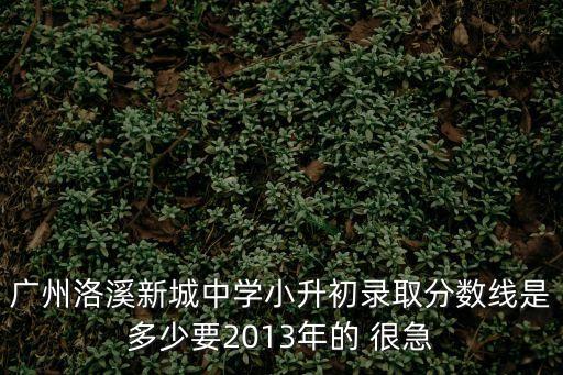 廣州市番禺區洛溪新城中學錄取分數線，廣州洛溪新城中學小升初錄取分數線是多少要2013年的 很急