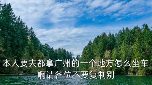 本人要去都拿廣州的一個地方怎么坐車啊請各位不要復制別