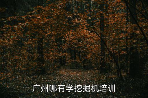 廣州學挖機，廣州越秀區哪里有學挖土機廣州越秀區挖掘機培訓