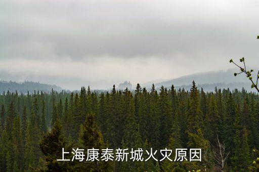 上?？堤┬鲁腔馂脑? class=