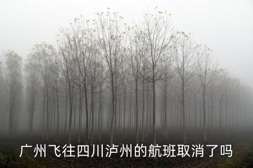 沒有廣州到瀘州的航班，佛山機場有飛往四川瀘州的直班機嗎