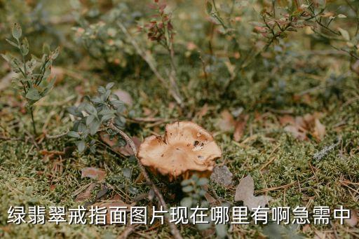 翡翠戒指圖片，綠翡翠戒指面圖片現(xiàn)在哪里有啊急需中