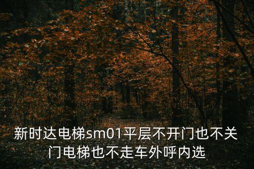 新時達電梯sm01平層不開門也不關門電梯也不走車外呼內選