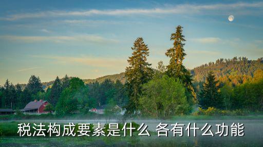 稅法構成要素是什么 各有什么功能