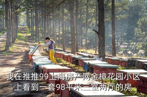 上海市新房推出信息，我在推推99上海房產網金樟花園小區(qū)上看到一套98平米三室兩廳的房
