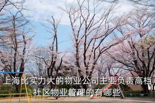 上海比實力大的物業(yè)公司主要負(fù)責(zé)高檔社區(qū)物業(yè)管理的有哪些