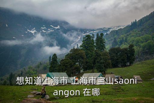 想知道上海市 上海市寶山saoniangon 在哪