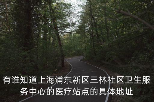 有誰(shuí)知道上海浦東新區(qū)三林社區(qū)衛(wèi)生服務(wù)中心的醫(yī)療站點(diǎn)的具體地址