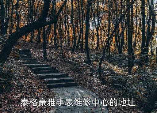 泰格豪雅手表維修中心的地址
