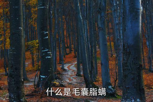 毛囊螨，毛囊螨怎樣祛掉
