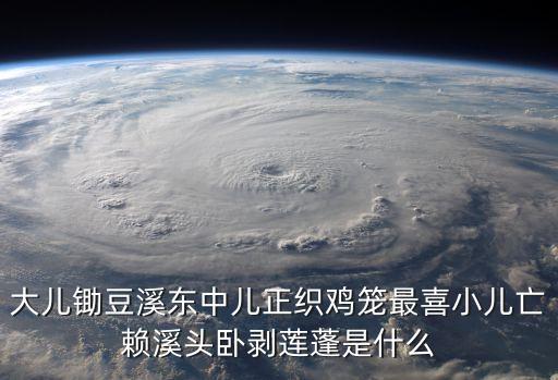中兒正織雞籠，大兒鋤豆溪東中兒正織雞籠 什么意思