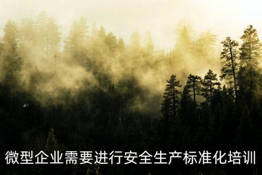 微型企業(yè)需要進行安全生產標準化培訓