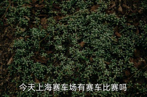 上海市賽車場有比賽嗎，上海哪里有賽車場大一些的那種