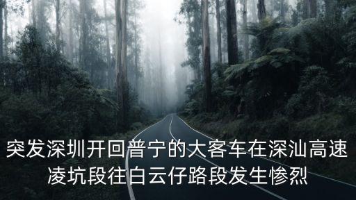 突發(fā)深圳開回普寧的大客車在深汕高速凌坑段往白云仔路段發(fā)生慘烈