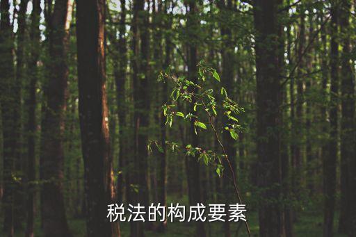 稅法要素，稅法的構成要素有哪些
