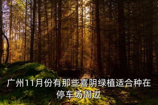廣州11月份有那些喜陰綠植適合種在停車場(chǎng)周邊