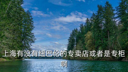 上海有沒有紐巴倫的專賣店或者是專柜啊