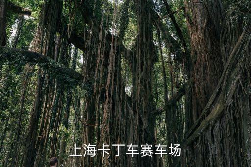上海市內賽車場，上海卡丁車賽車場