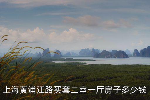 上海市浦區(qū)二居室，剛畢業(yè)上海租房二室一廳一廚一衛(wèi)哪個(gè)區(qū)的房源性價(jià)比比較好大概