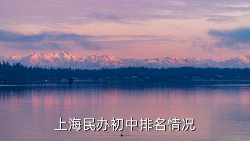 上海市一梯隊民辦中學，上海有哪些民辦中學