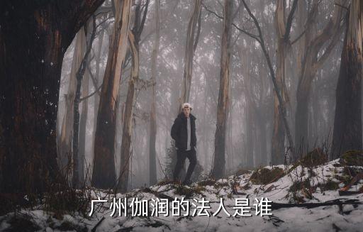 廣州昕潤，廣州市天河路240號豐興廣場C幢16樓1606室 這個地址是哪家公司的