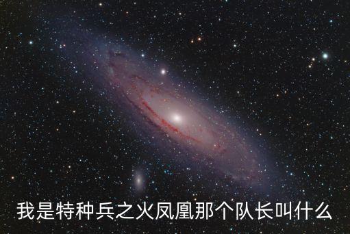 上海市突擊隊隊長，我是特種兵之火鳳凰那個隊長叫什么