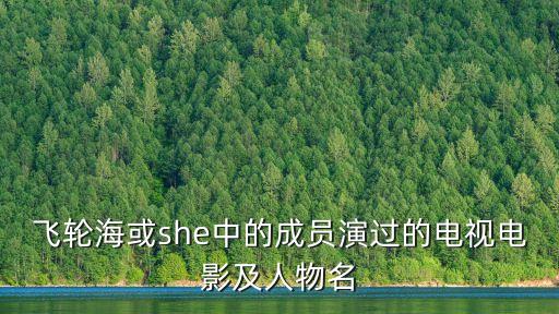 飛輪?；騭he中的成員演過的電視電影及人物名