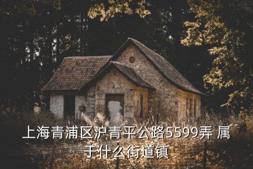 上海青浦區滬青平公路5599弄 屬于什么街道鎮