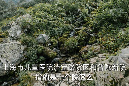 上海市瀘定路兒童醫院屬于幾級，上海瀘定路兒童醫院是二級還是三級醫院