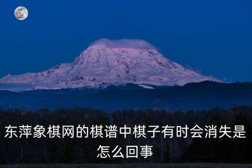 東萍象棋網的棋譜中棋子有時會消失是怎么回事