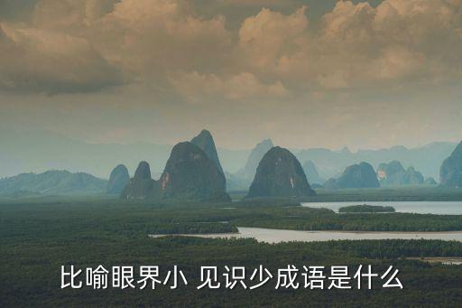 比喻眼界小 見識少成語是什么