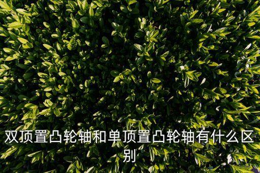 雙頂置凸輪軸和單頂置凸輪軸有什么區(qū)別