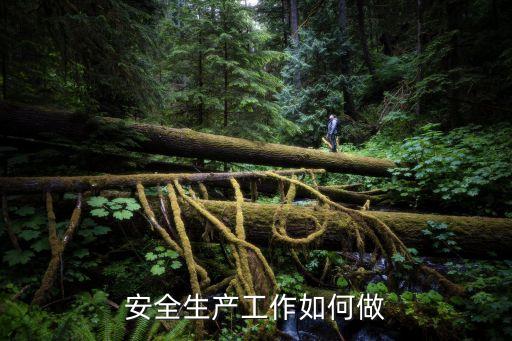 如何做到安全生產(chǎn)，安全生產(chǎn)工作如何做