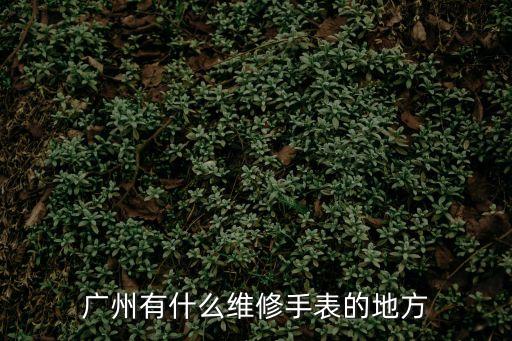 廣州有什么維修手表的地方
