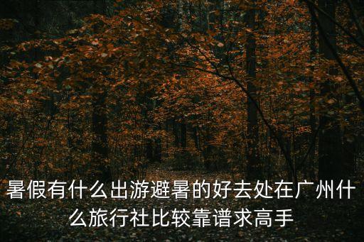 廣州玩美假期旅行社，玩美假期怎么樣