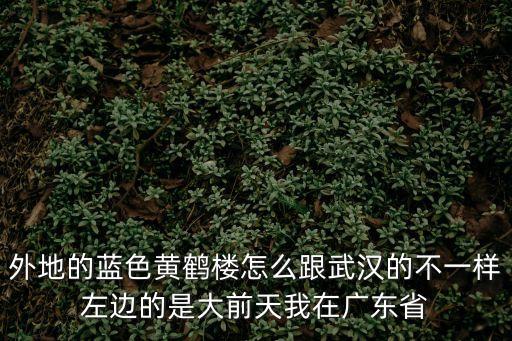 黃鶴樓 廣州專賣，這個(gè)煙是真的黃鶴樓嗎 在廣州買的
