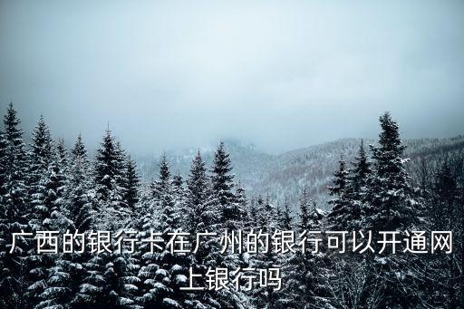 廣西的銀行卡在廣州的銀行可以開通網(wǎng)上銀行嗎