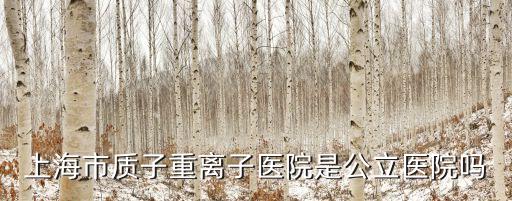 上海市質子鐘離子醫院，上海市質子重離子醫院是公立醫院嗎