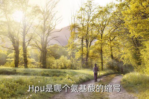 20種氨基酸縮寫，O和U是哪兩種氨基酸的縮寫好像不是20種常見氨基酸