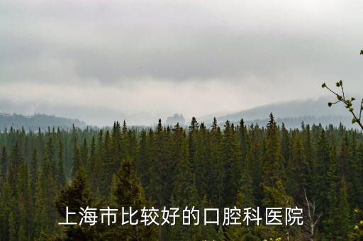 上海市比較好的口腔科醫院