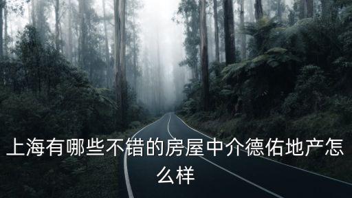 上海有哪些不錯的房屋中介德佑地產(chǎn)怎么樣